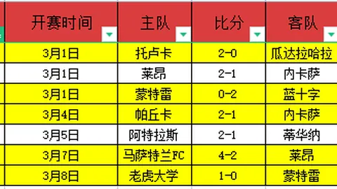 维拉半场领先特拉维夫马卡比1-0，马特森独中目标，马丁神扑力保胜局